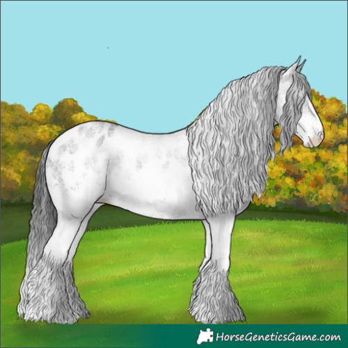 Horse Color:White Spotted Black Appaloosa Rabicano 