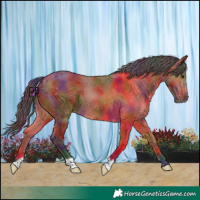 Horse Color:Nacre Bay 