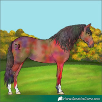 Horse Color:Nacre Bay 