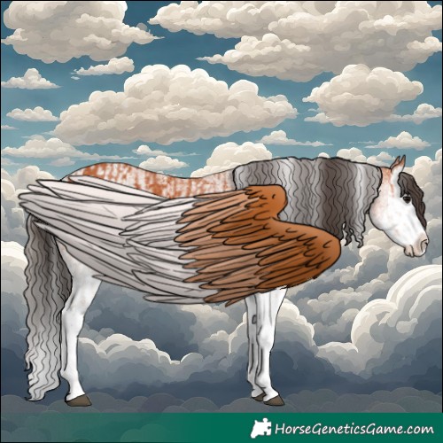 Horse Color:White Spotted Bay Splash and White Spotted Bay Roan Splash