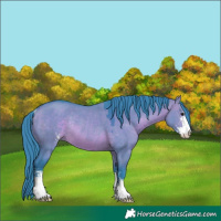Horse Color:Watercolor Brown Dun Sabino Rabicano 