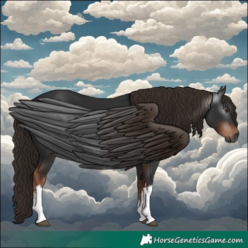 Horse Color:Gray White Spotted Liver Chestnut 