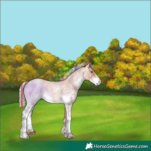 Horse Color:Painted Silver Sable Champagne Roan Splash 