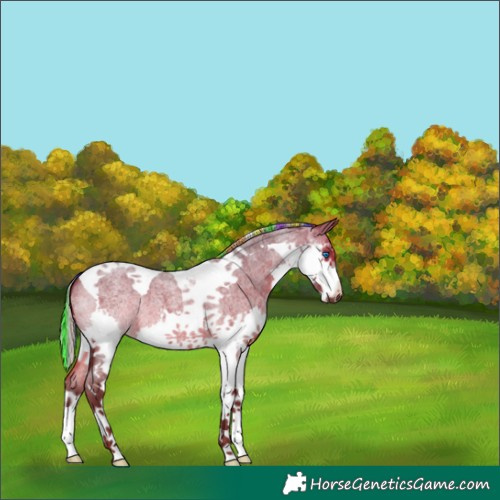 Horse Color:Painted Silver Brown Roan Splash Tobiano 