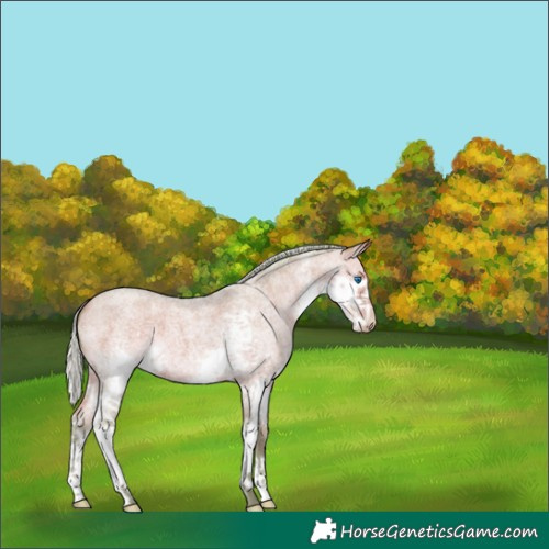 Horse Color:Watercolor Silver Sable Champagne Roan Splash 