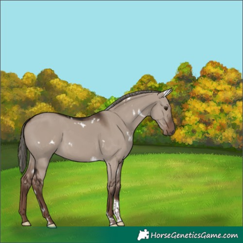 Horse Color:White Spotted Liver Red Dun Mushroom Tobiano 