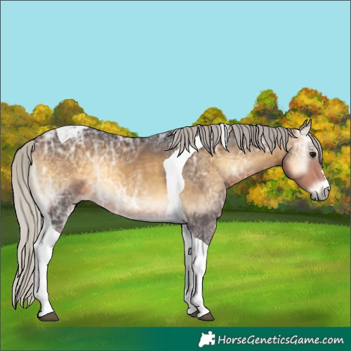 Horse Color:Silver Buckskin Ice Onyx Tobiano 