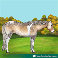 Horse Color:Silver Buckskin Ice Onyx Tobiano 