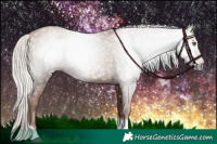 Horse Color:Gray Silver Black Pearl Tobiano 
