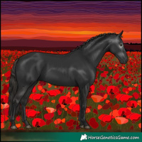Horse Color:Gray White Spotted Liver Chestnut 