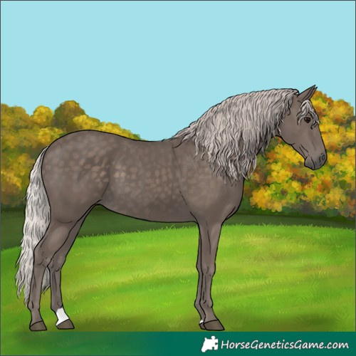 Horse Color:Silver Black 
