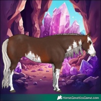 Horse Color:White Spotted Silver Brown