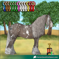 Horse Color:Powder White White Spotted Silver Black Splash 
