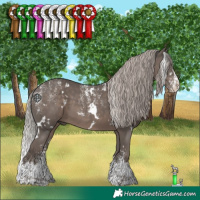 Horse Color:Powder White White Spotted Silver Black Splash