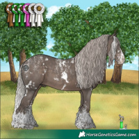 Horse Color:Powder White White Spotted Silver Black Splash