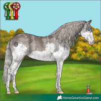 Horse Color:Powder White Silver Black Splash Tobiano Appaloosa