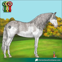 Horse Color:Powder White Silver Black Splash Tobiano Appaloosa