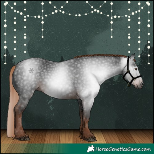 Horse Color:Gray White Spotted Liver Chestnut 