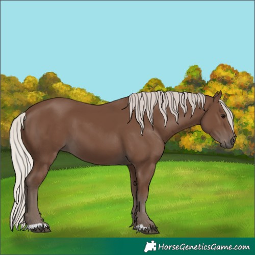 Horse Color:Silver Black 