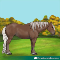 Horse Color:Silver Black