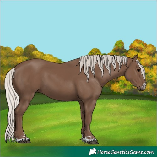 Horse Color:Silver Black 