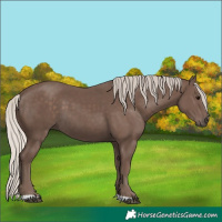 Horse Color:Silver Black 