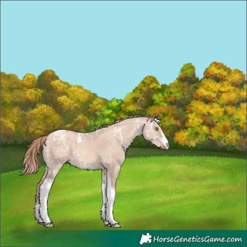 Horse Color:White Spotted Gold Champagne Ice Dun Tobiano Varnish 