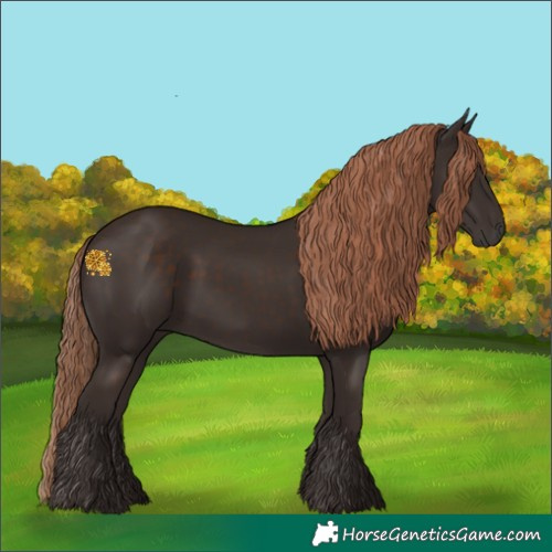 Horse Color:Liver Chestnut Rabicano 