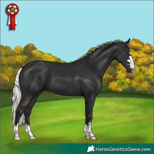 Horse Color:Liver Chestnut Mushroom 