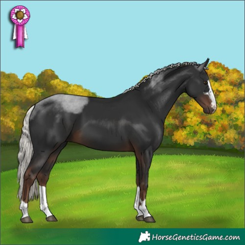 Horse Color:Liver Chestnut Mushroom 