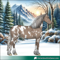 Horse Color:White Spotted Silver Grullo Brindle