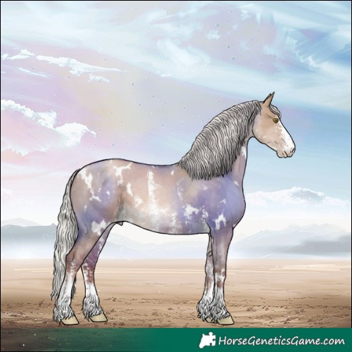 Horse Color:White Spotted Silver Brown Pearl Dun Sabino 