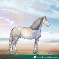 Horse Color:White Spotted Silver Brown Snowdrop Pearl Dun Sabino 
