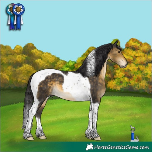 Horse Color:Buckskin Tobiano 