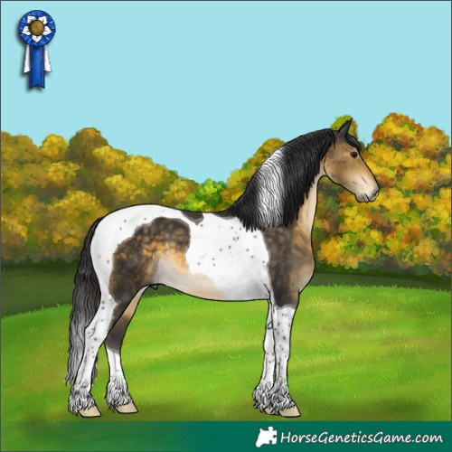 Horse Color:Buckskin Tobiano 