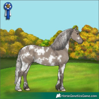 Horse Color:White Spotted Silver Grullo 