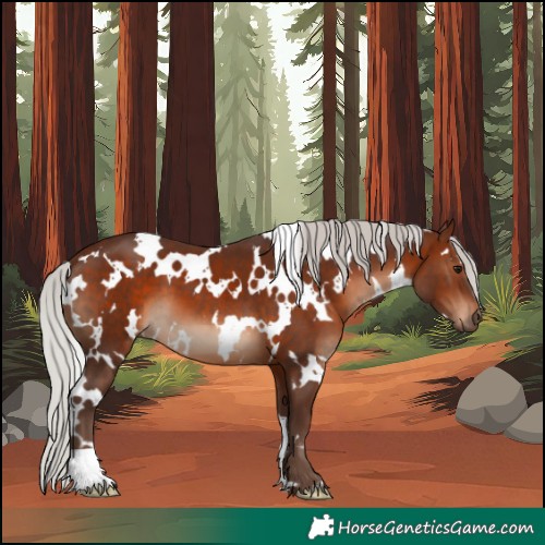 Horse Color:White Spotted Silver Brown 