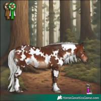 Horse Color:White Spotted Silver Brown