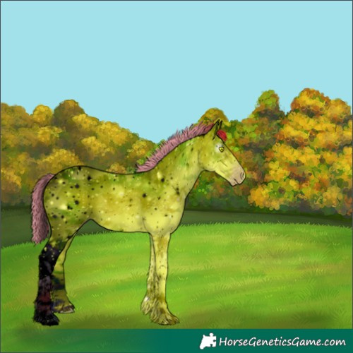 Horse Color:ERROR: UNKNOWN ANOMALY