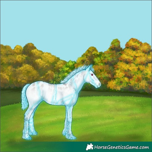 Horse Color:Powder White Thunderstruck Chocolate Silver Buckskin Chinchilla Onyx Splash Appaloosa Rabicano 