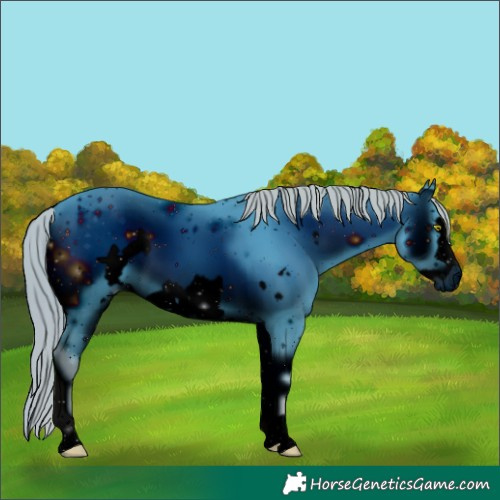 Horse Color:ERROR: UNKNOWN ANOMALY