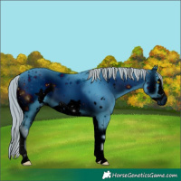 Horse Color:ERROR: UNKNOWN ANOMALY