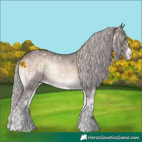 Horse Color:White Spotted Silver Brown Onyx Mushroom Rabicano Brindle 