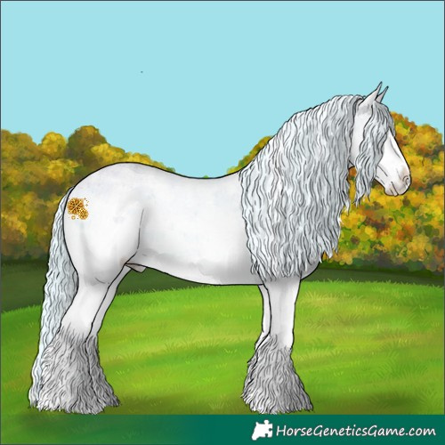 Horse Color:Powder White Watercolor Liver Red Dun Chinchilla Onyx Sabino Splash Rabicano Brindle 
