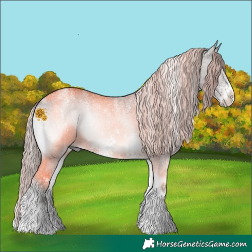Horse Color:Powder White Platinum Liver Red Dun Onyx Sabino Rabicano 