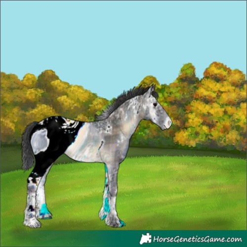 Horse Color:ERROR: UNKNOWN ANOMALY