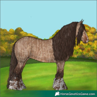 Horse Color:Liver Red Dun and Liver Red Dun