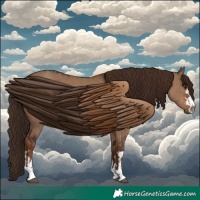 Horse Color:Liver Red Dun  and Liver Red Dun 