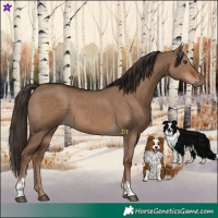 Horse Color:Liver Red Dun  and Liver Red Dun 