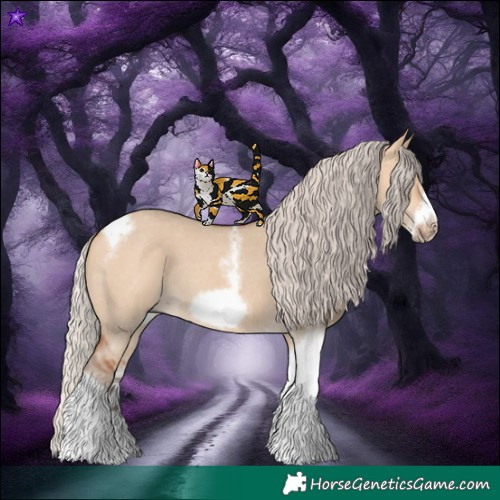 Horse Color:Silver Bay Dun Sabino Tobiano Frame Rabicano 